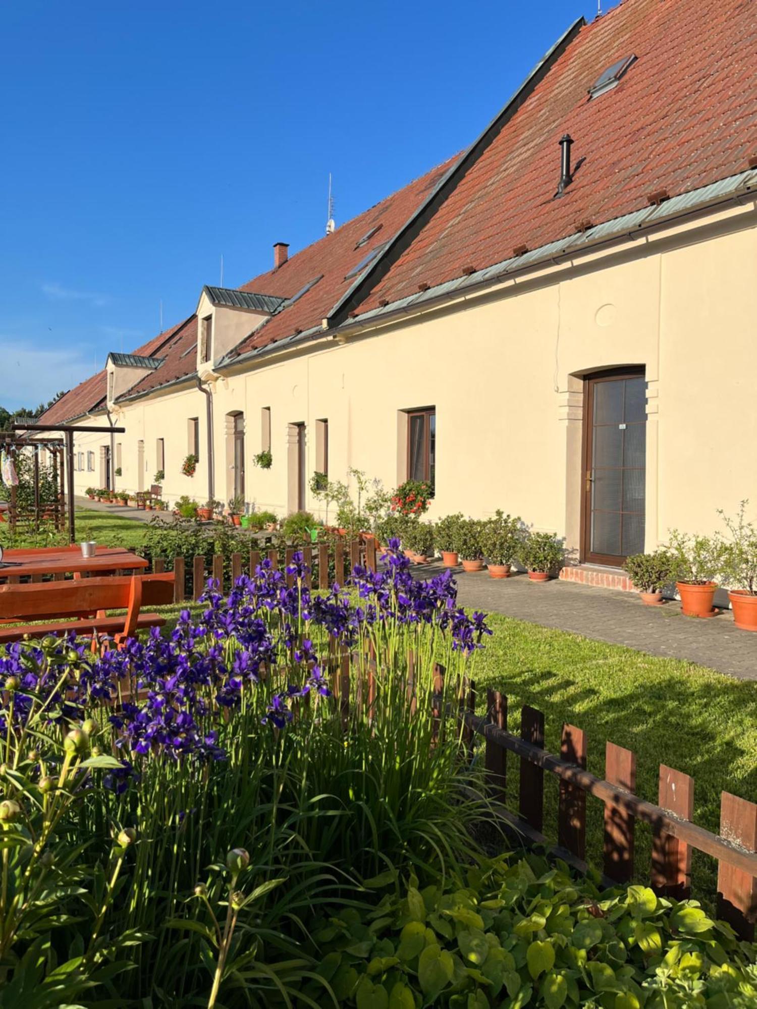 Dvur Nove Zamky Hotel Mladec Exterior photo