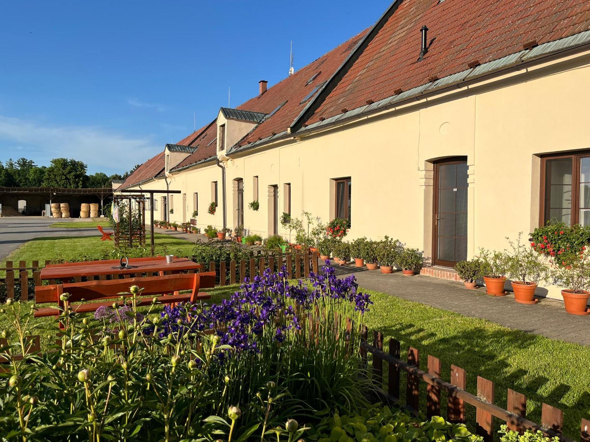 Dvur Nove Zamky Hotel Mladec Exterior photo